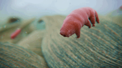 0_14d8b6_ab2612b0_orig-1485037371-0-1485158778-1-0-1485161139-1485161141