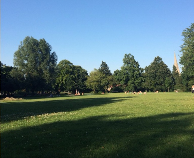 12316360-2017-01-18163027-1484746190-650-e99298a3c2-1485094519