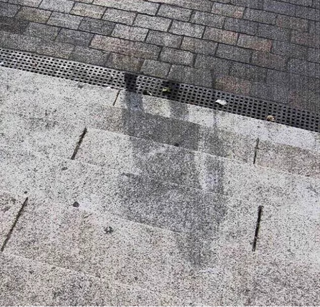 12500510-2017-01-26110519-1485421895-650-9b4e2f92eb-1485608494