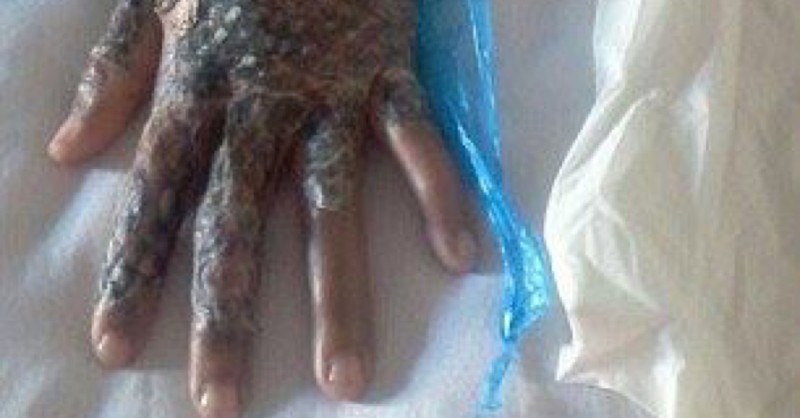 3693bb828e25a388bb5a7c1c163eee16-800x418