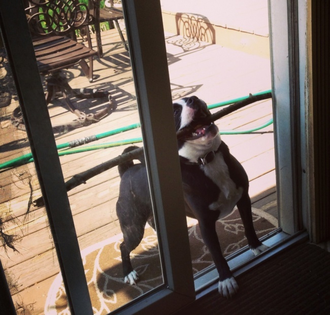 639960-93605-r3l8t8d-650-01-1483359622-650-6571479ebb-1483360275