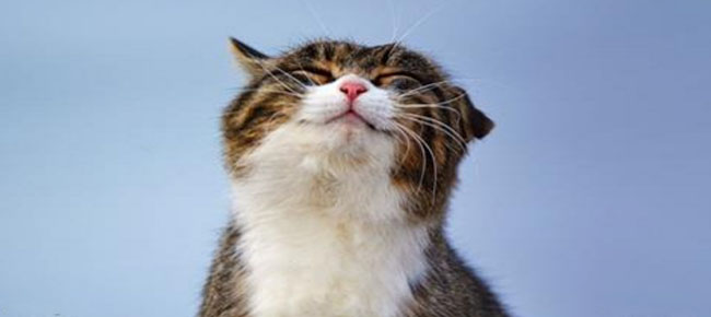 7587060-164727-0-1478894495-1478983170-650-5b1edfcf0b-1-1479127285