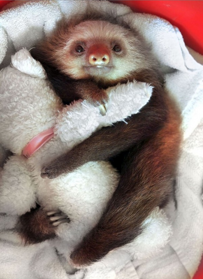 93805-05-650-113d9c9d45-1483360275