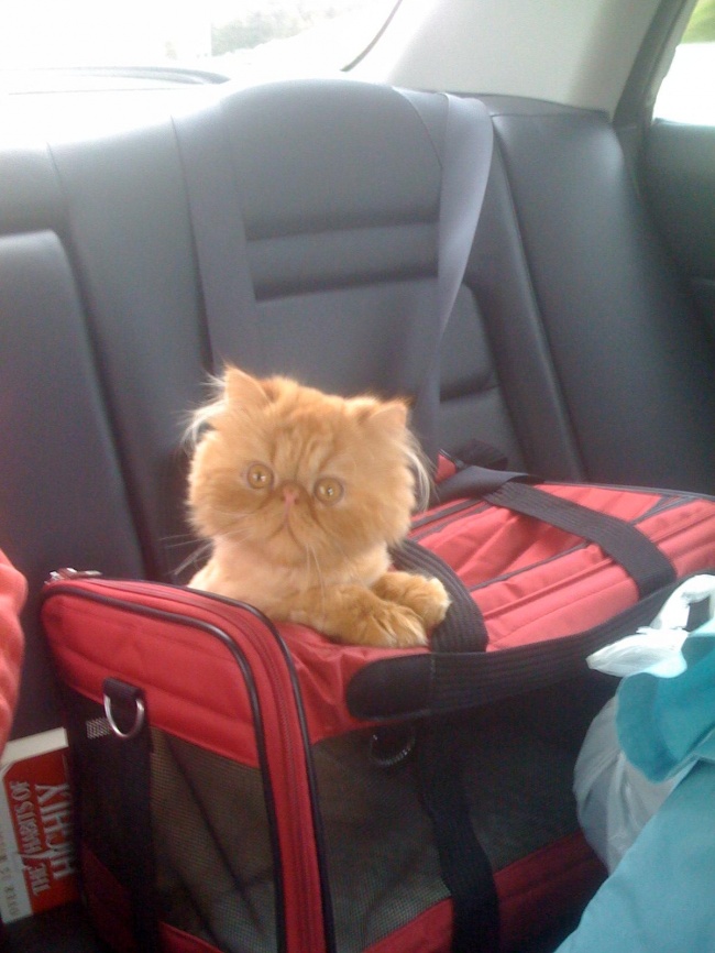 94105-7mz7mwd-650-71b4bf0d3b-1483360275