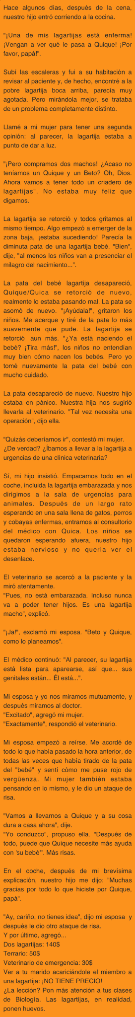 ca460285e10e98e6f90165011161a5351