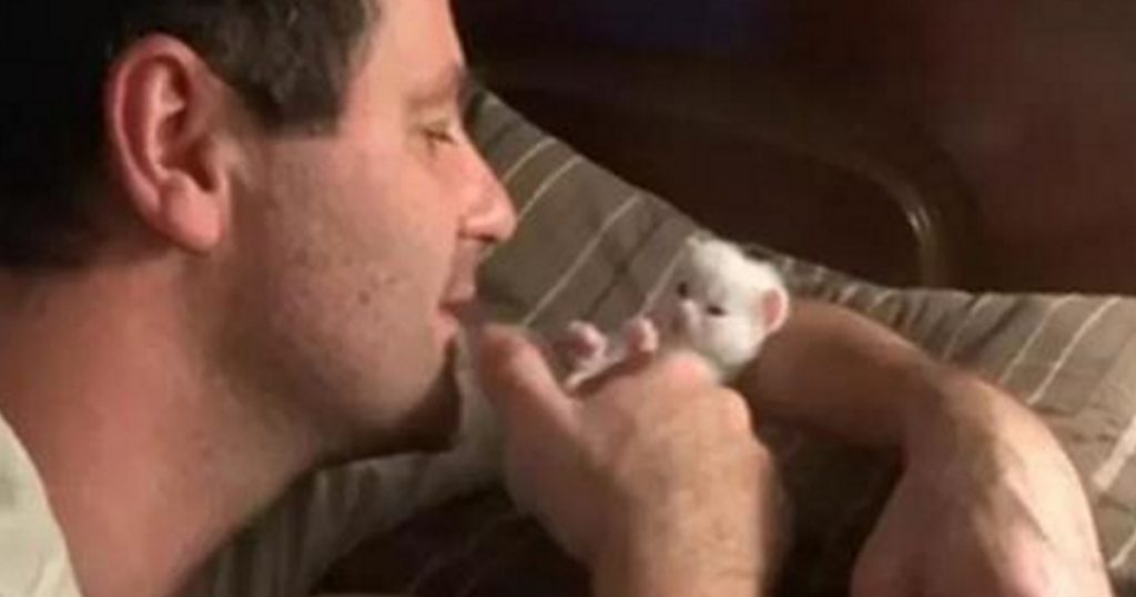 bez-imeni-1-vosstanovleno