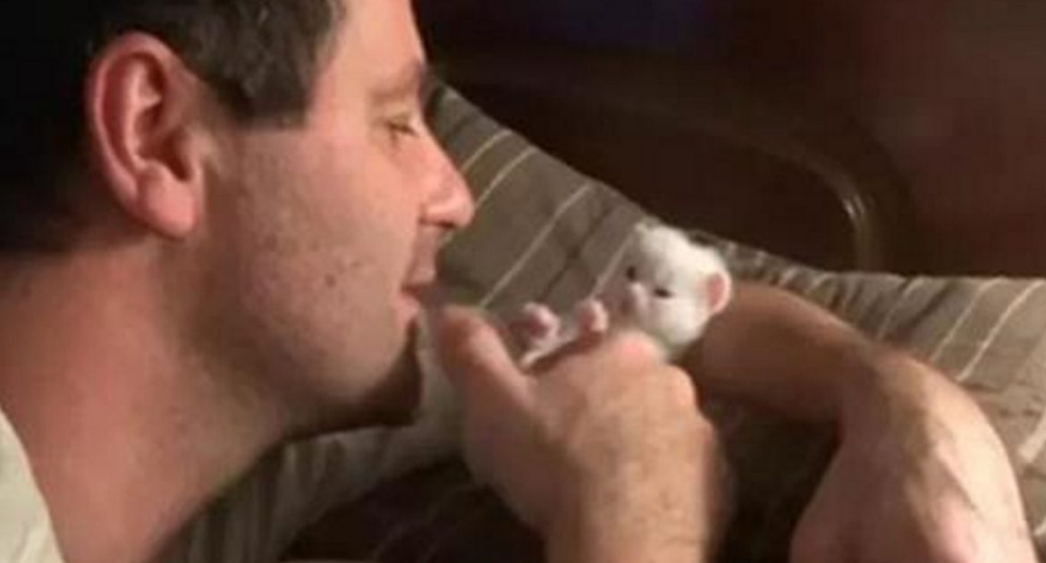 bez-imeni-1-vosstanovleno