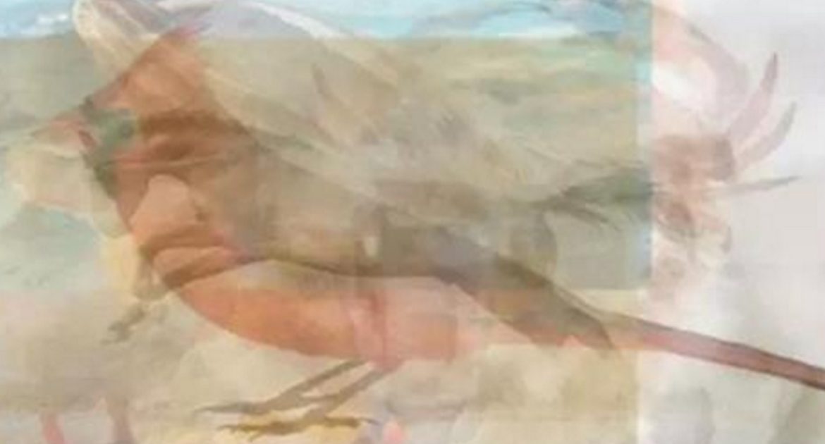 bez-imeni-1-vosstanovleno