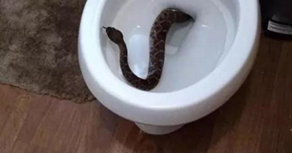 bez-imeni-1-vosstanovleno