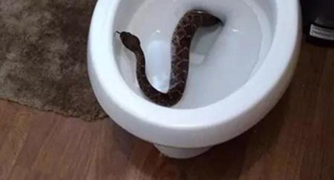 bez-imeni-1-vosstanovleno